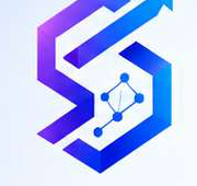 Salexy logosu